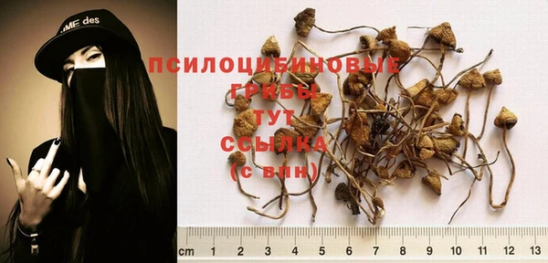 каннабис Абдулино